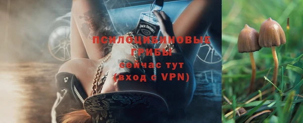 apvp Вяземский