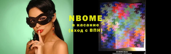 apvp Вяземский