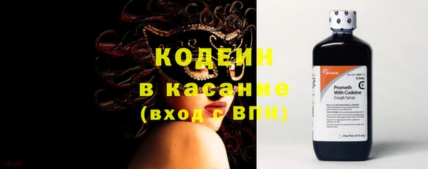 apvp Вяземский