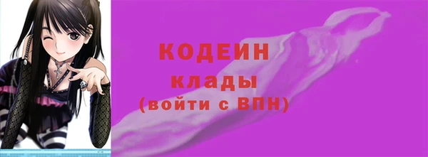 apvp Вяземский