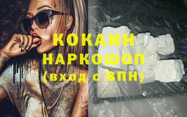 apvp Вяземский