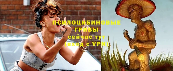 apvp Вяземский