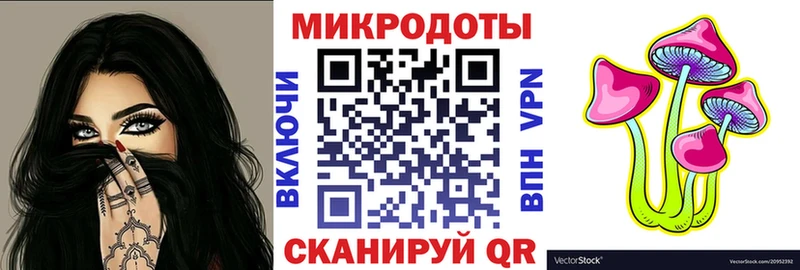 Псилоцибиновые грибы Cubensis  Купить где  Питкяранта 